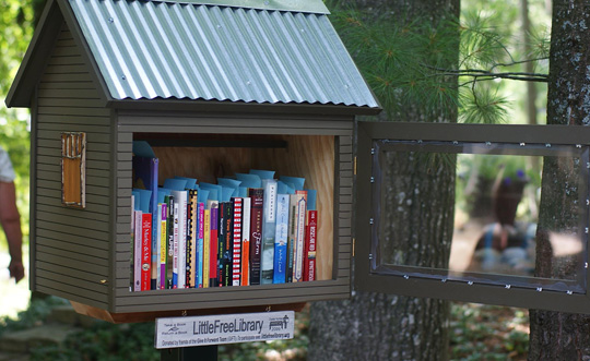 Little-Free-Library-1