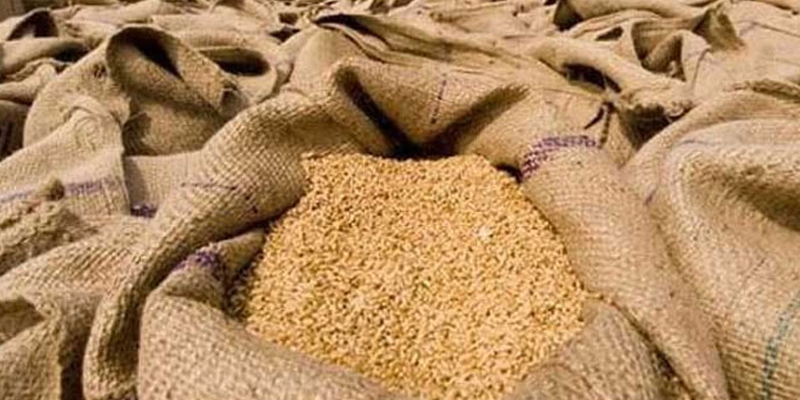 گندم کی فی من قیمت پانچ ہزار روپے مقررکی جائے ‘کسان بورڈ پاکستان